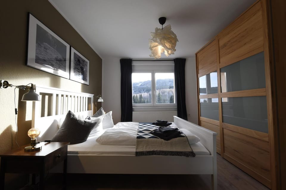 Oberwiesenthal Apartments Apartment in Erzgebirgskreis