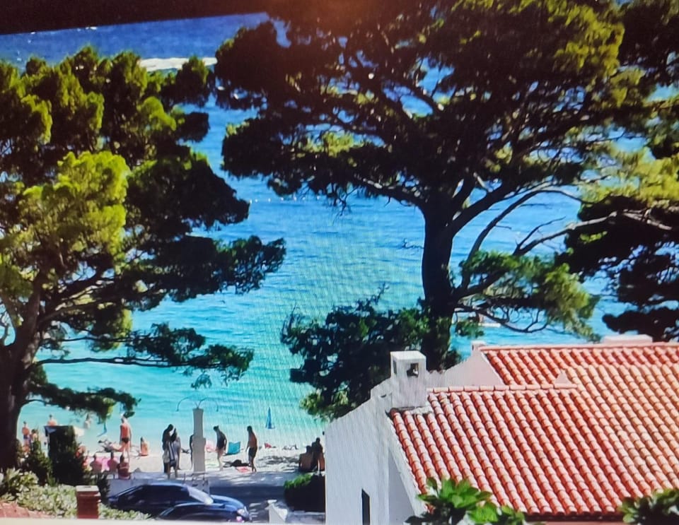Day, Beach, Sea view