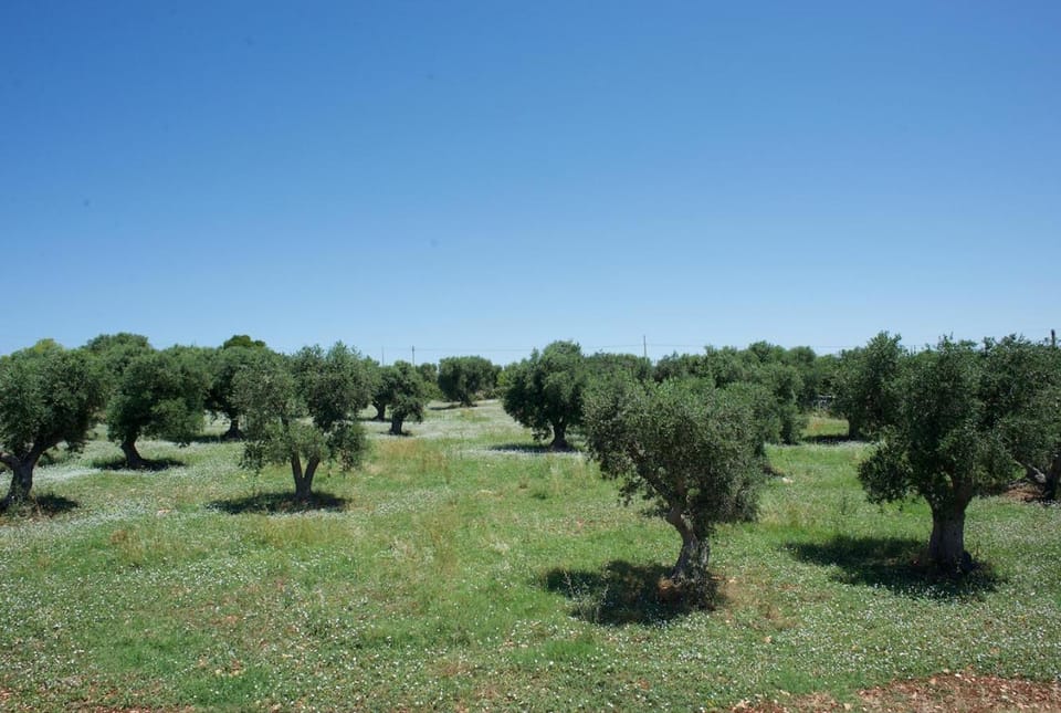 Trullo Maddy House in Province of Taranto