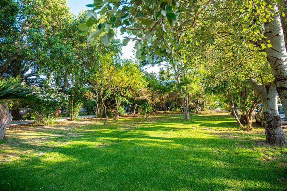 Natural landscape, Garden, Garden view