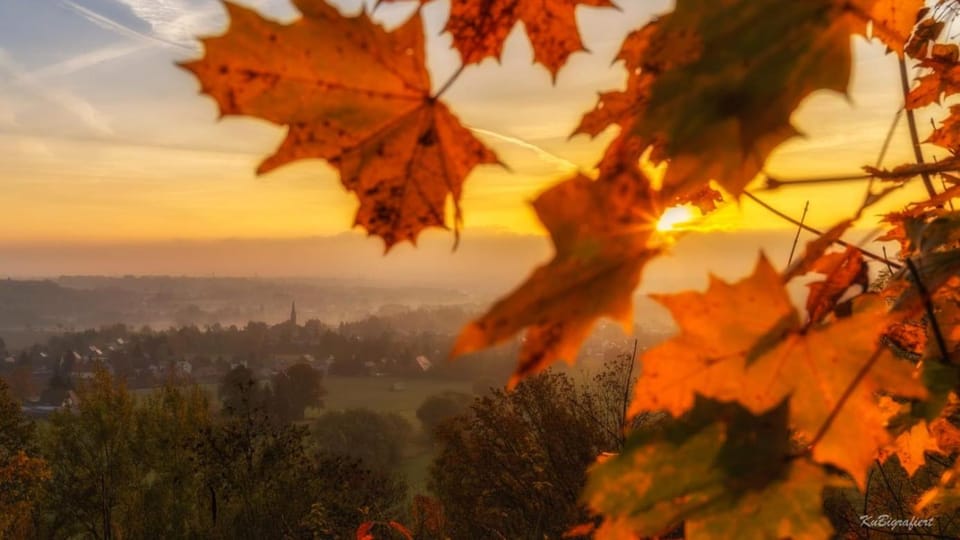 Sunrise