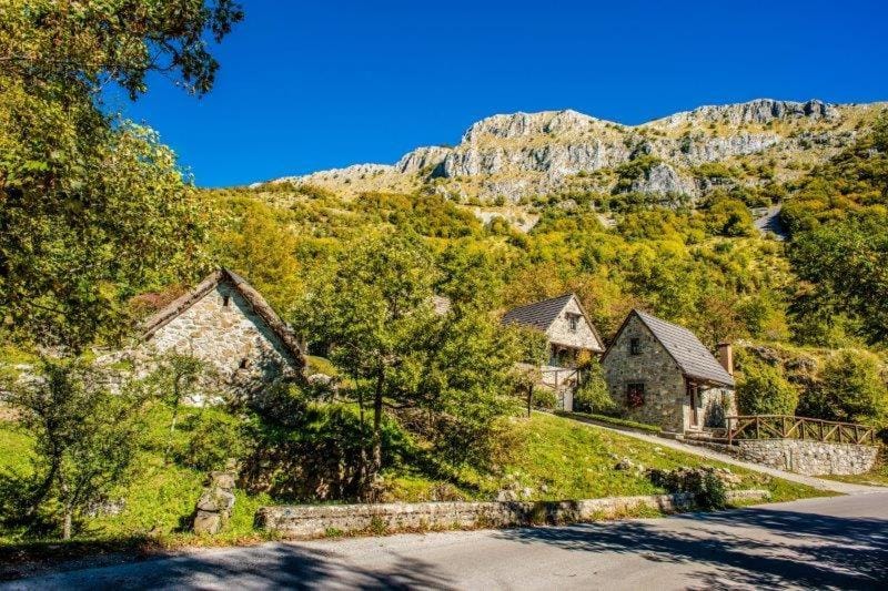 Garden, Mountain view, Quiet street view