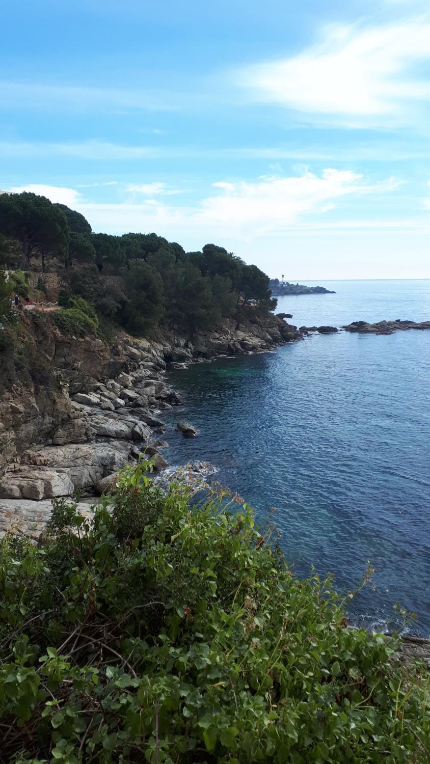 Rosas-Puig Rom -VISTA MAR Apartment in Roses