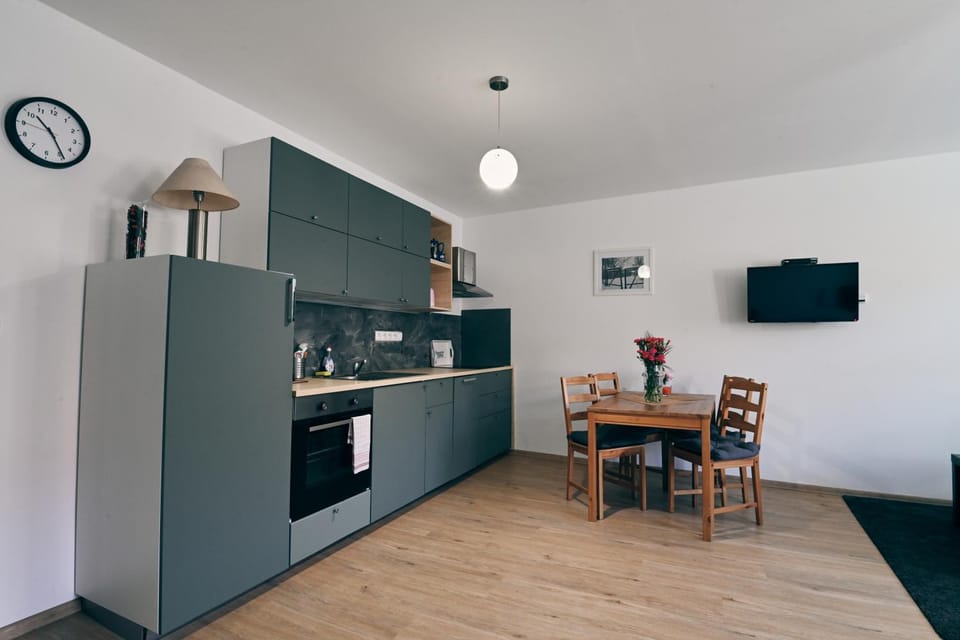 Modern apartment in Kutna Hora Apartment in Czechia
