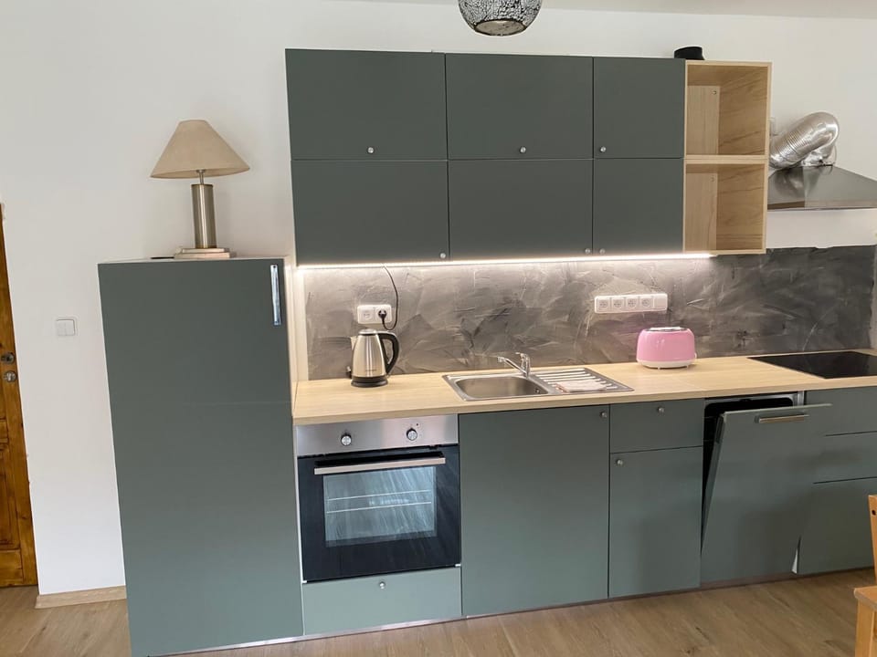Modern apartment in Kutna Hora Apartment in Czechia