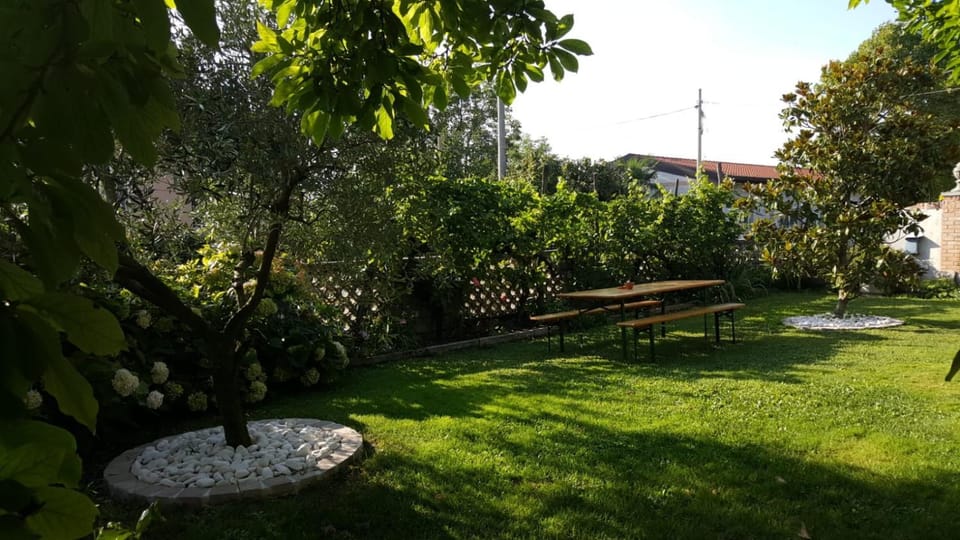Garden, Garden view, Garden view