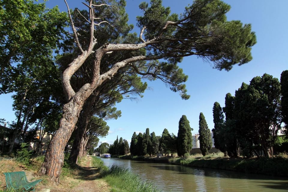 Natural landscape, River view