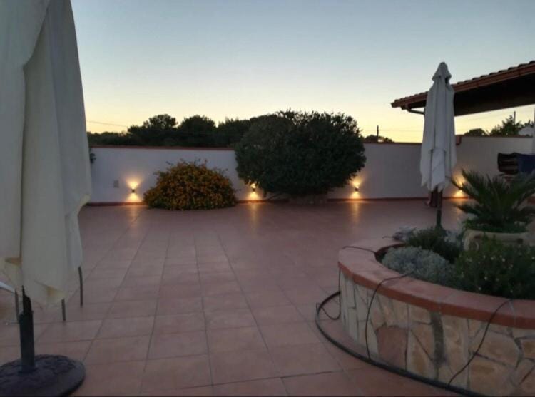 Patio, Day, Garden