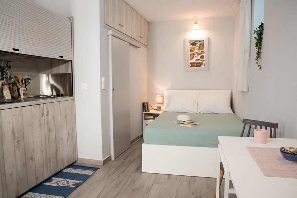 Bed, Kitchen or kitchenette, Photo of the whole room, Seating area, Dining area, Bedroom, air conditioner