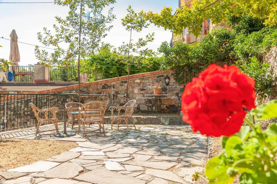 Property building, Patio, Garden