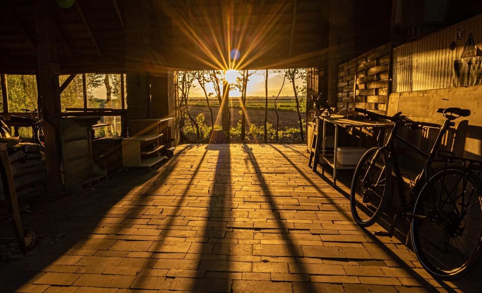 Property building, Communal lounge/ TV room, View (from property/room), Evening entertainment, Animals, Garden view, River view, Sports, Sunset