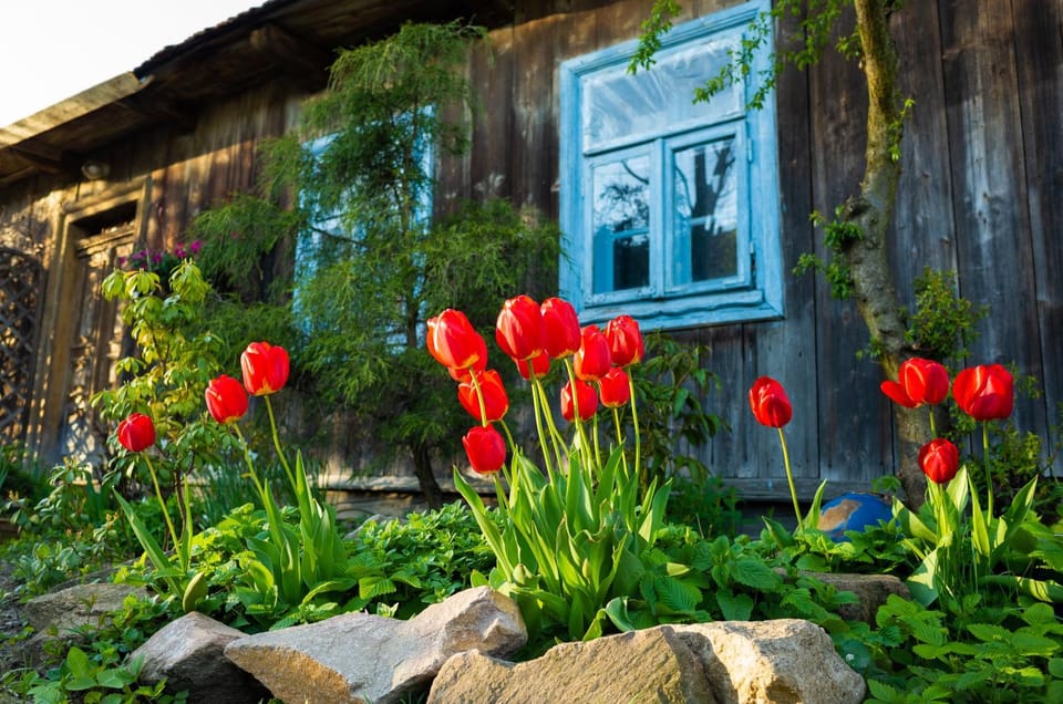 Property building, Garden