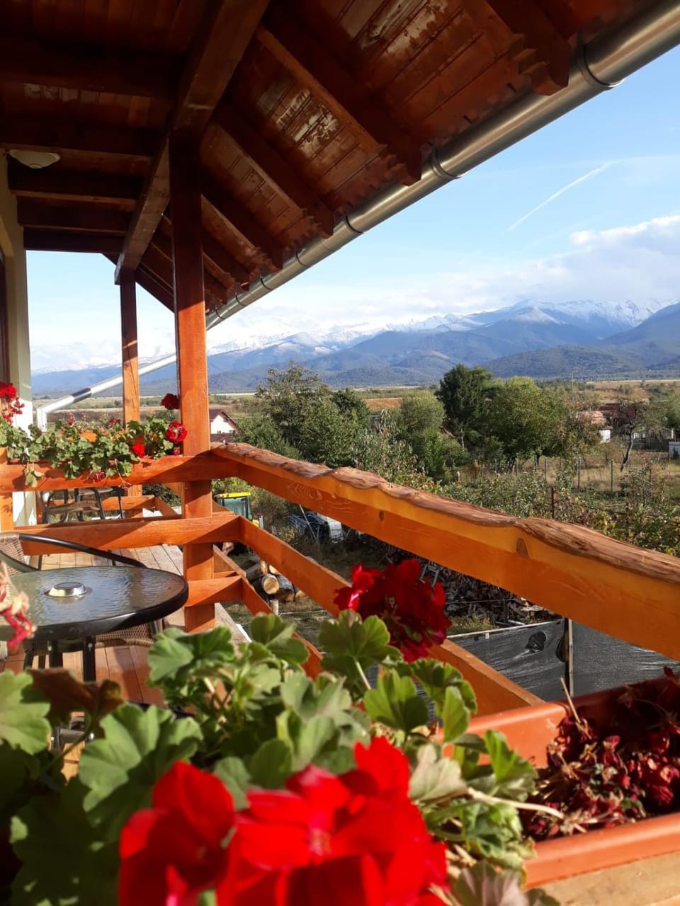 PENSIUNEA LEIA Transfăgărășan Bed and Breakfast in Romania