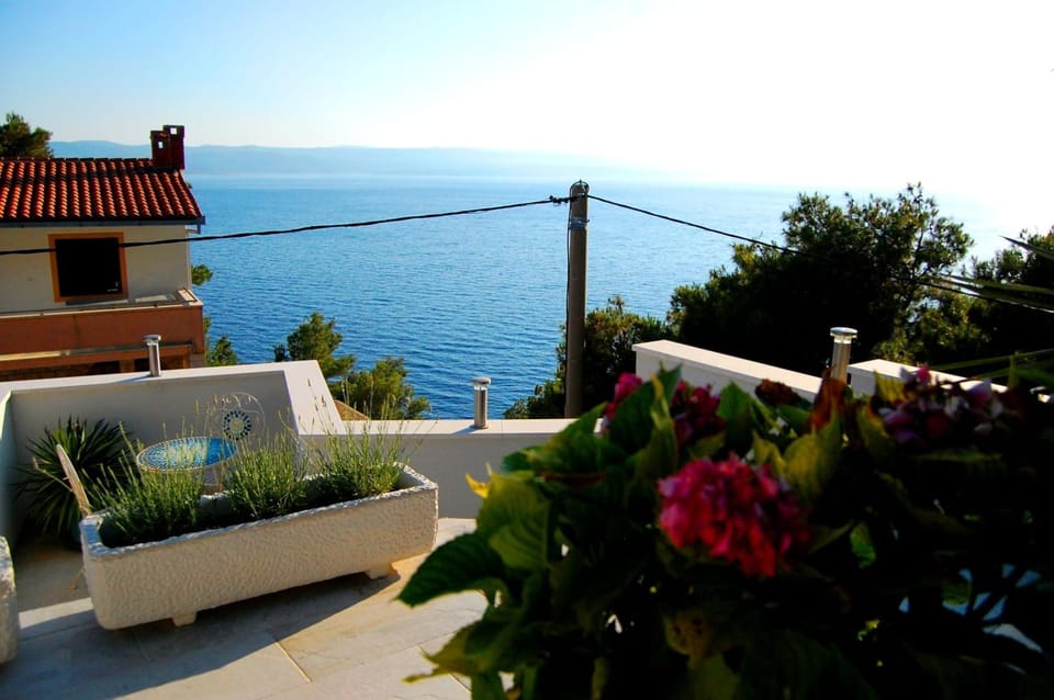 Studio Ante Apartment in Brela