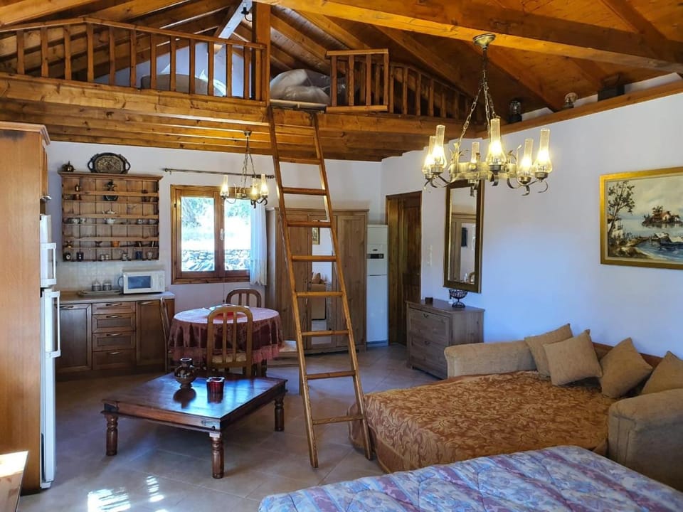 Panos Cottage Apartment in Thasos