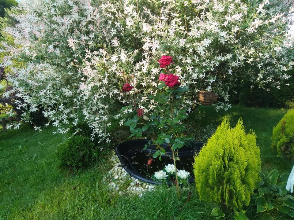 Вила Свети Георги Villa in Blagoevgrad Province