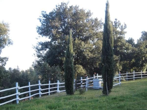 Natural landscape, Garden view