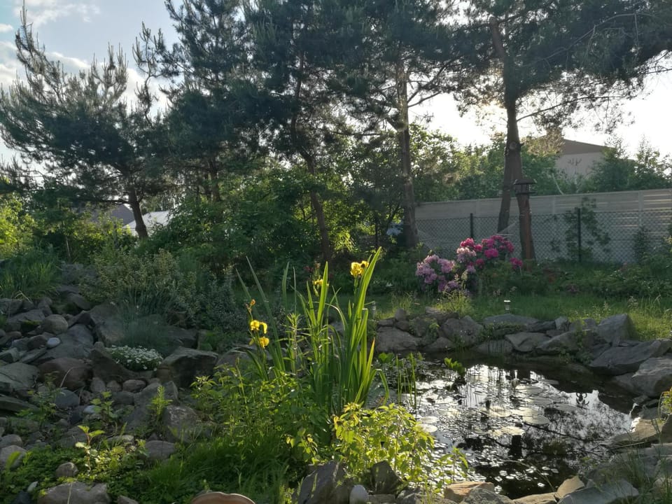 Wellspring Bed and Breakfast in Masovian Voivodeship