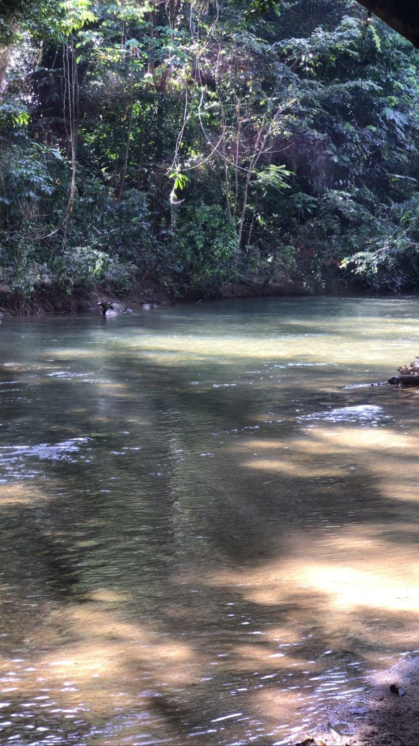 Nearby landmark, Natural landscape
