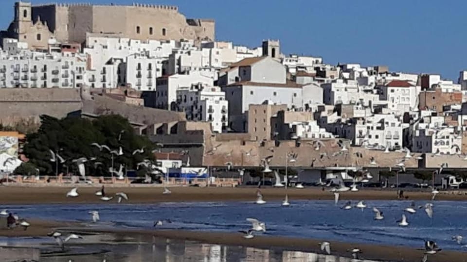 Nearby landmark, Beach, Area and facilities, Shopping Area
