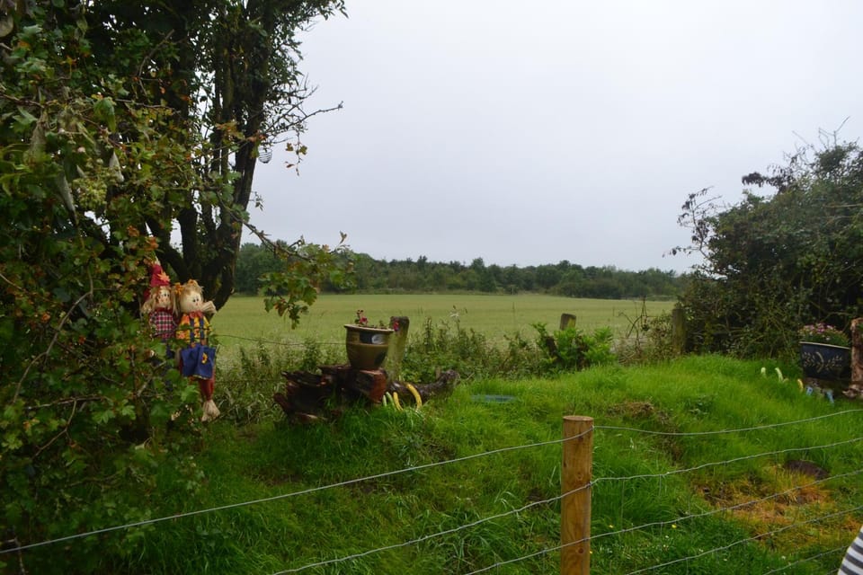 On site, Garden view