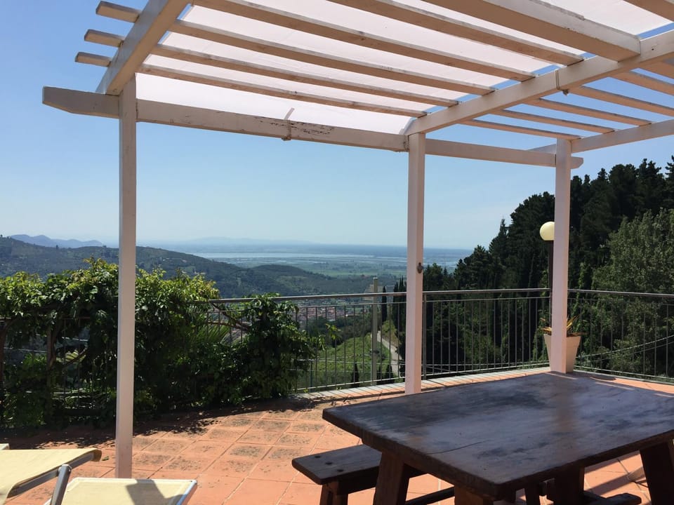 View (from property/room)