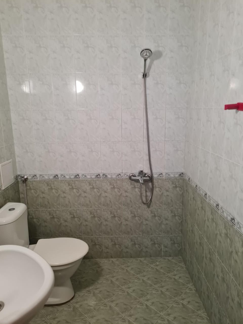 Shower, Toilet, Bathroom, Bathroom