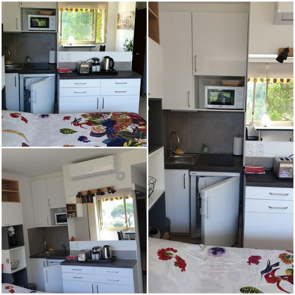 Garden and beach sea view apartment Cannes Apartment in Mandelieu-La Napoule