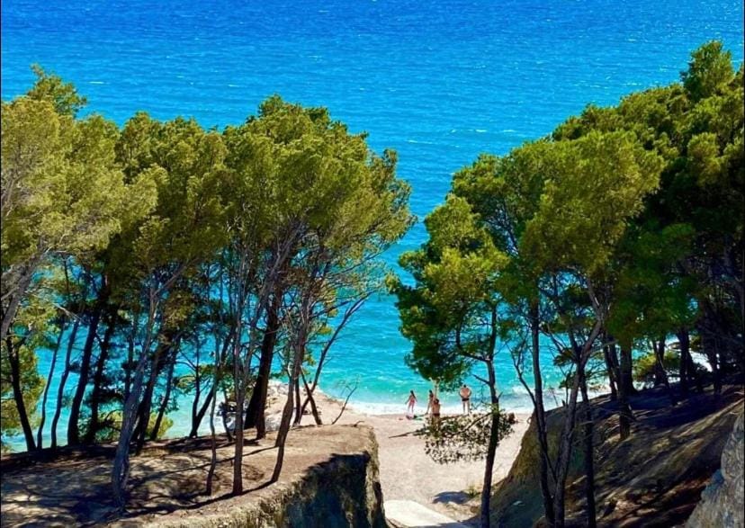Natural landscape, Beach, Hiking, Sea view, Quiet street view