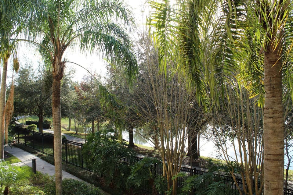 Natural landscape, Garden, Garden view, Lake view