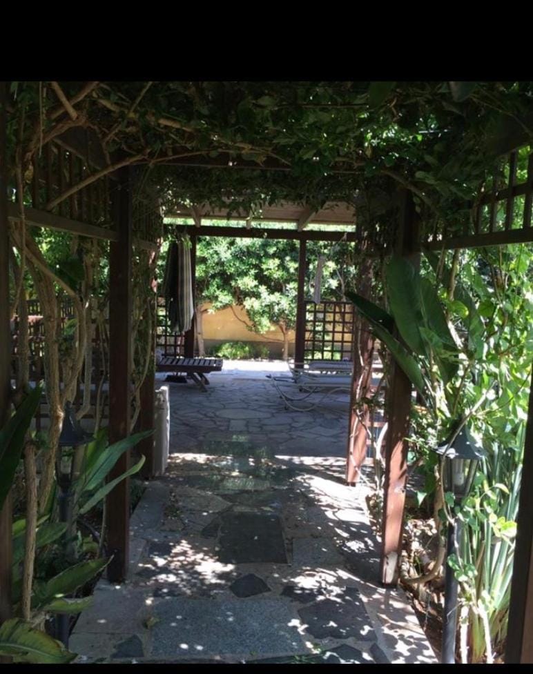 Villa Natalia Villa in Ayia Napa