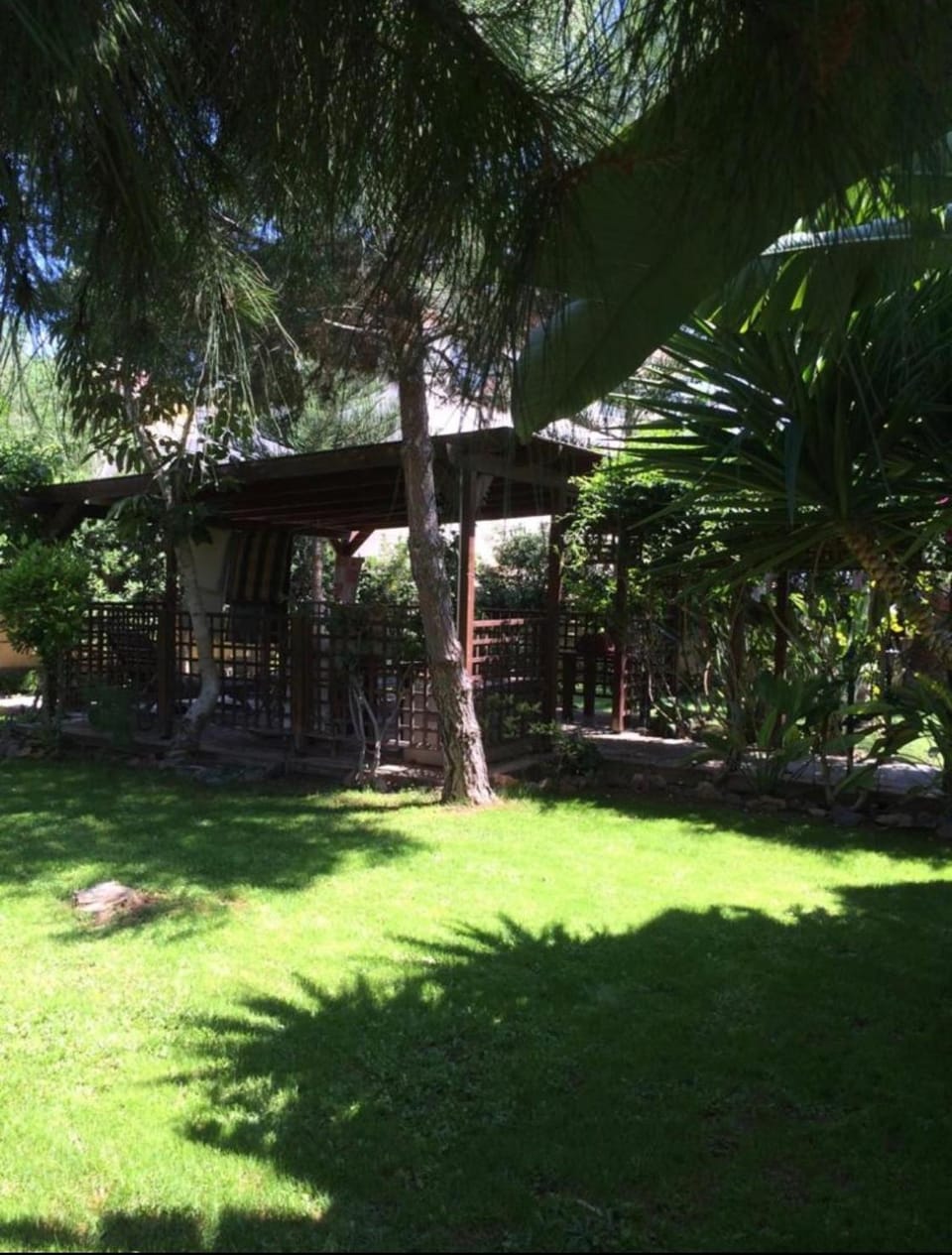 Villa Natalia Villa in Ayia Napa