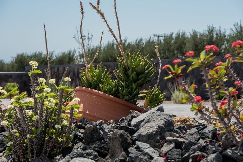 George Farm Land Villa in Santorini