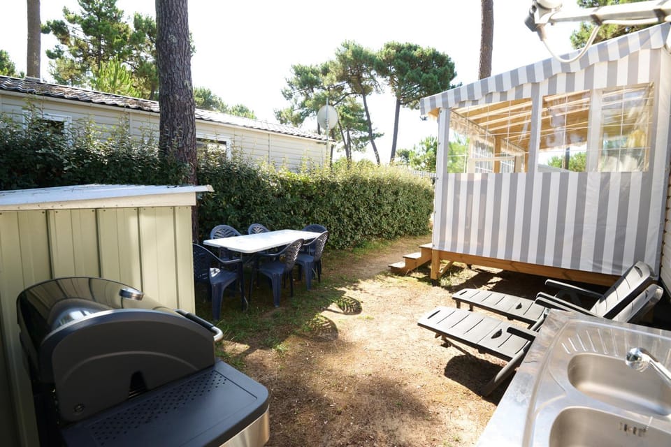 Dining area, Garden view