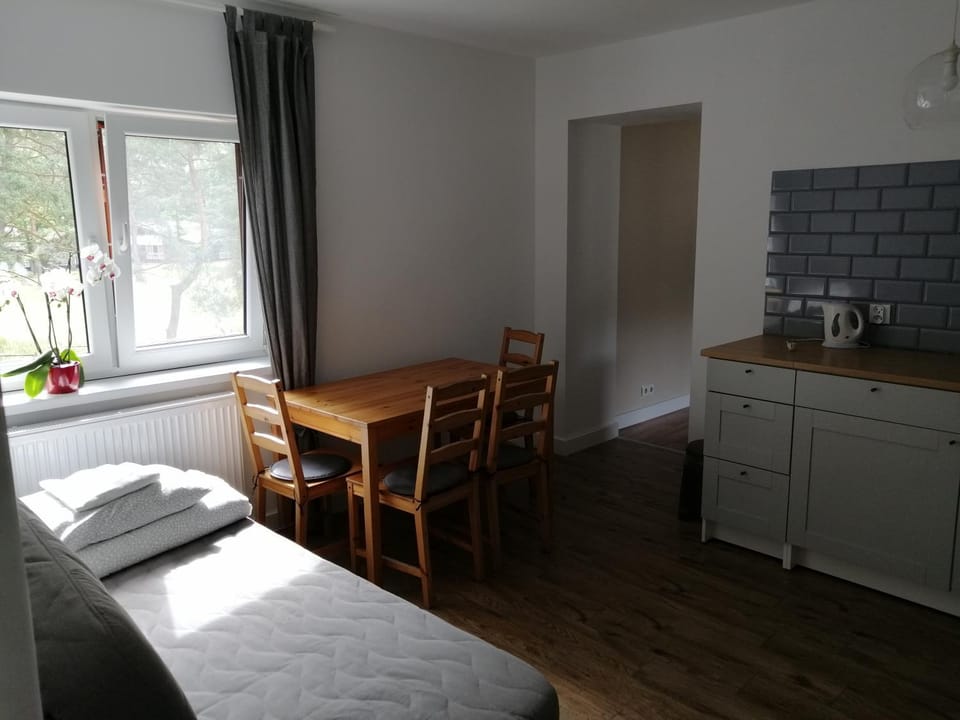 Alma Apartment in Pomeranian Voivodeship