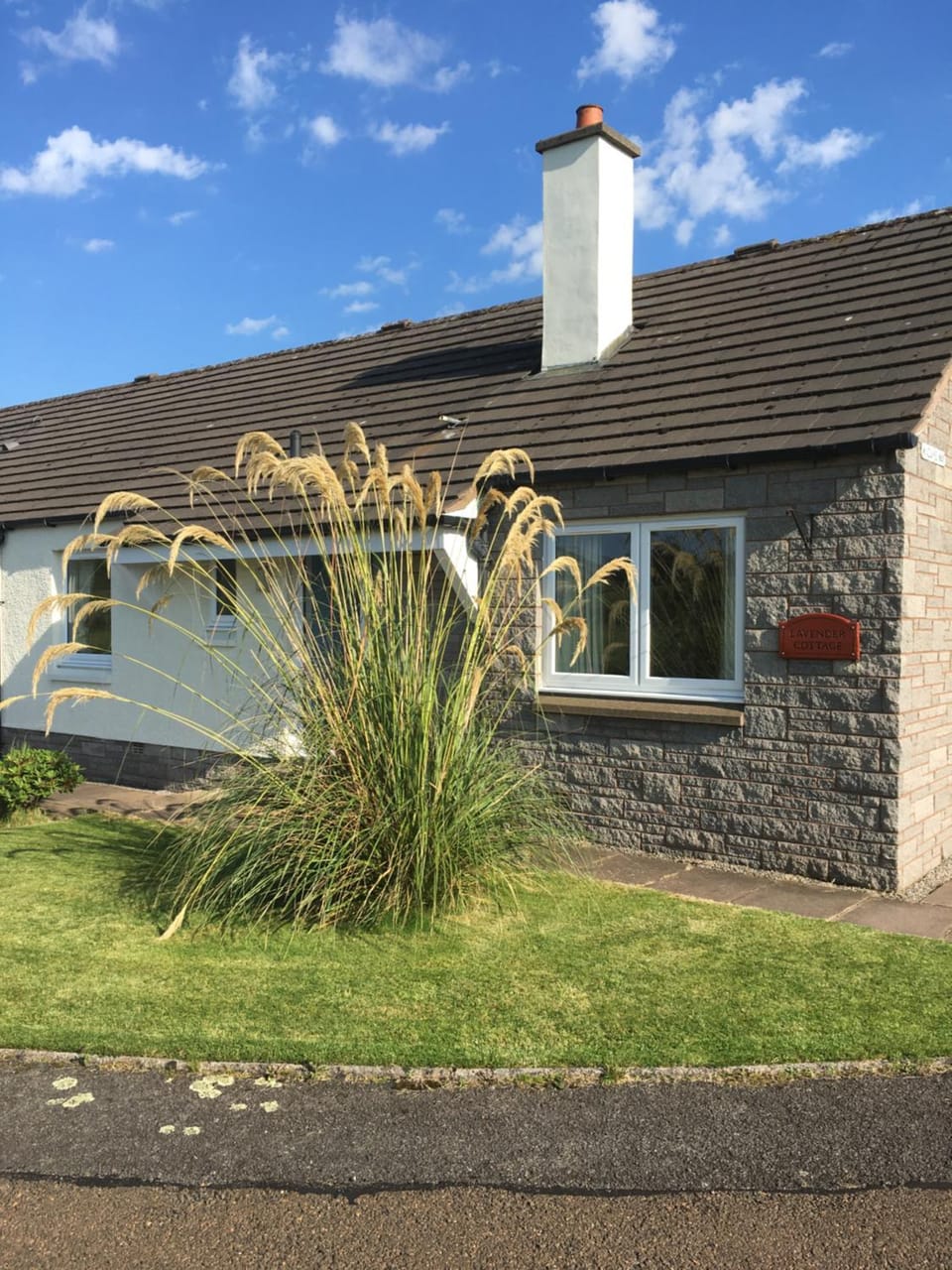 Lavender Cottage with Parking and Beautiful Views Summer Special House in Scotland