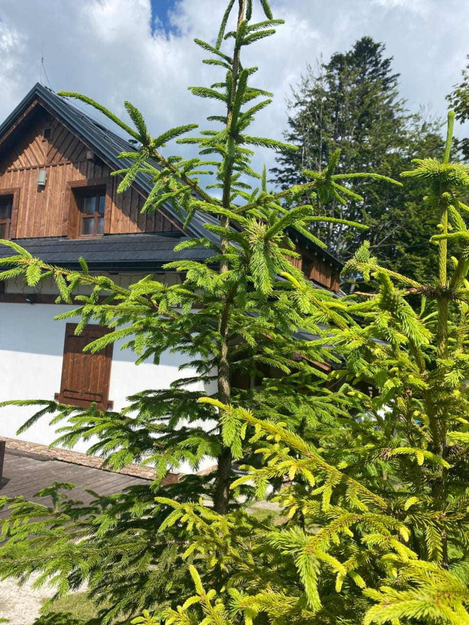 Chata Marguška - U Fera Chalet in Slovakia