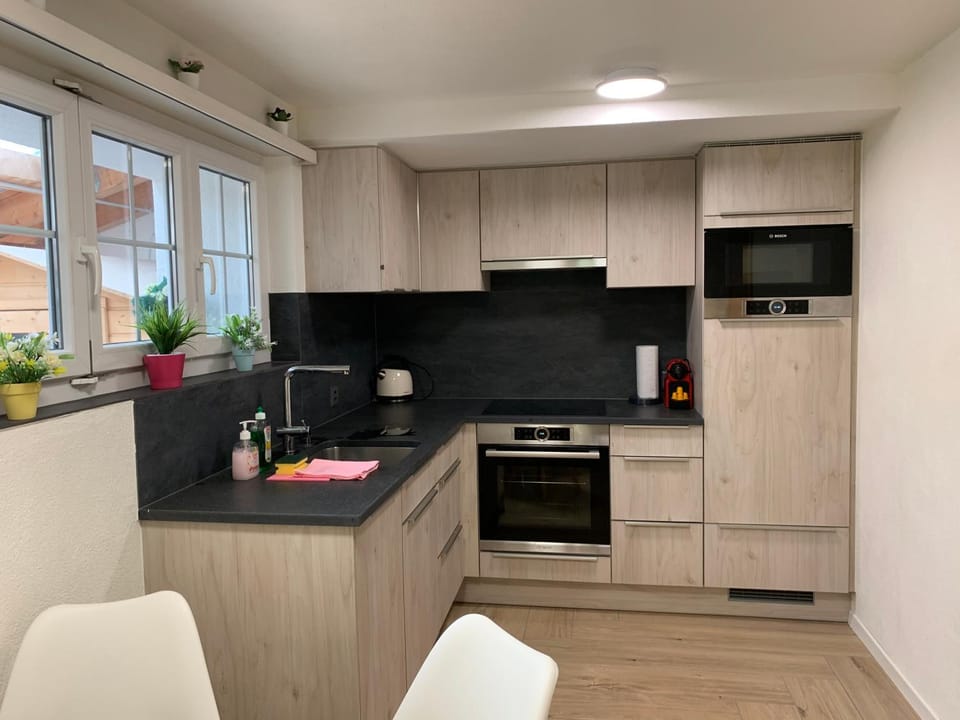 Eiger, Jungfrau, luxury garden apartment Apartment in Grindelwald