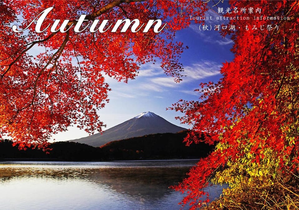 Station Villa Plaisir Mt. Fuji Apartment in Japan