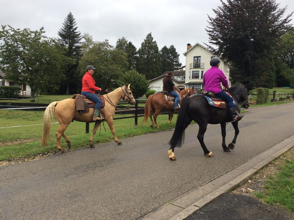 Property building, Horse-riding