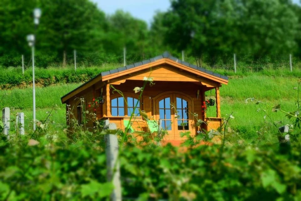 Domek na Winnicy House in Lesser Poland Voivodeship