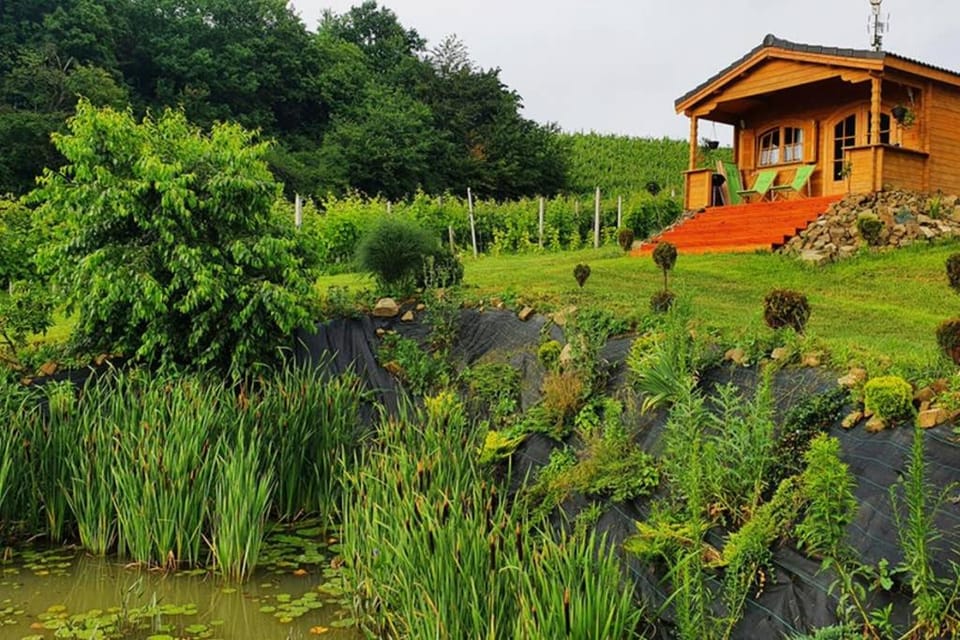 Domek na Winnicy House in Lesser Poland Voivodeship