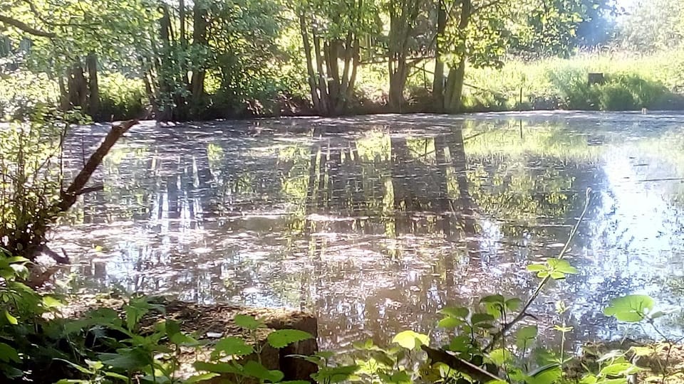 Natural landscape
