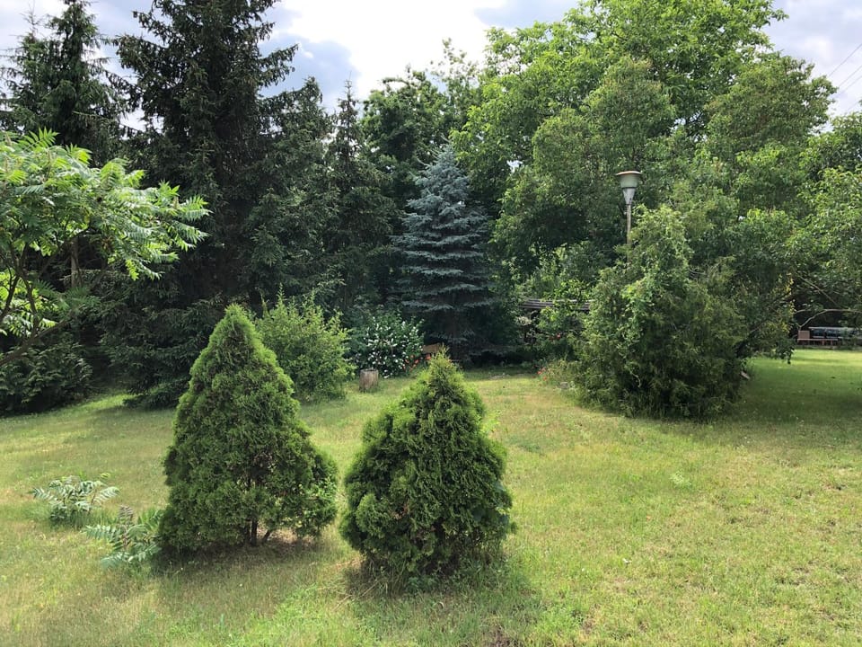 Natural landscape, Garden, Garden view