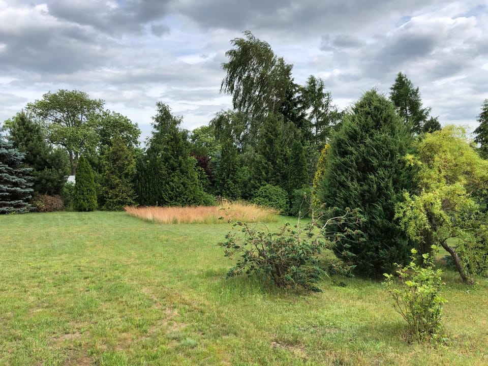 Natural landscape, Garden