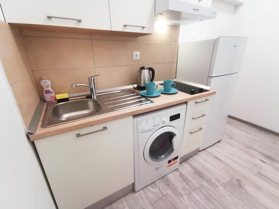 Kitchen or kitchenette, minibar, washing machine, dryer