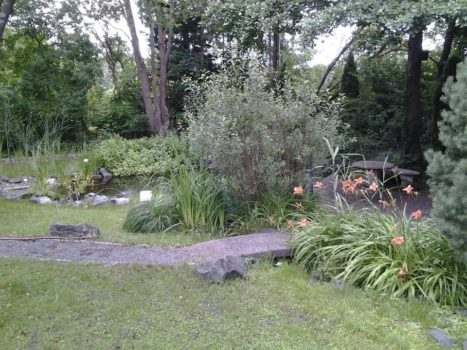 Garden view