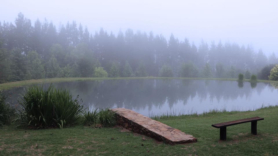 Lake view