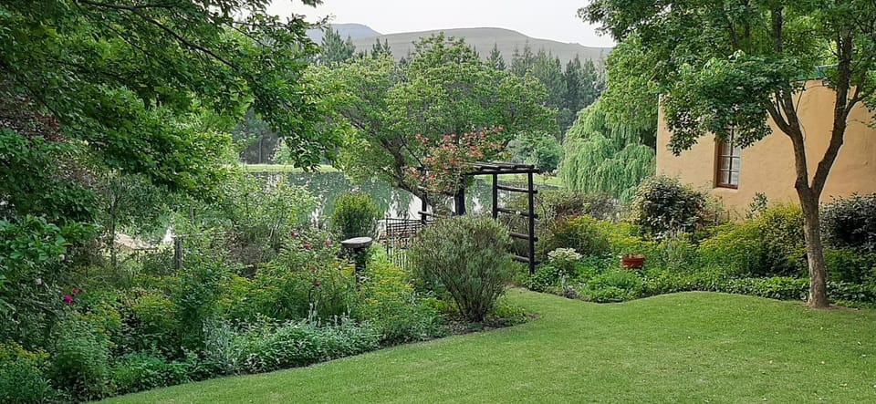Garden view