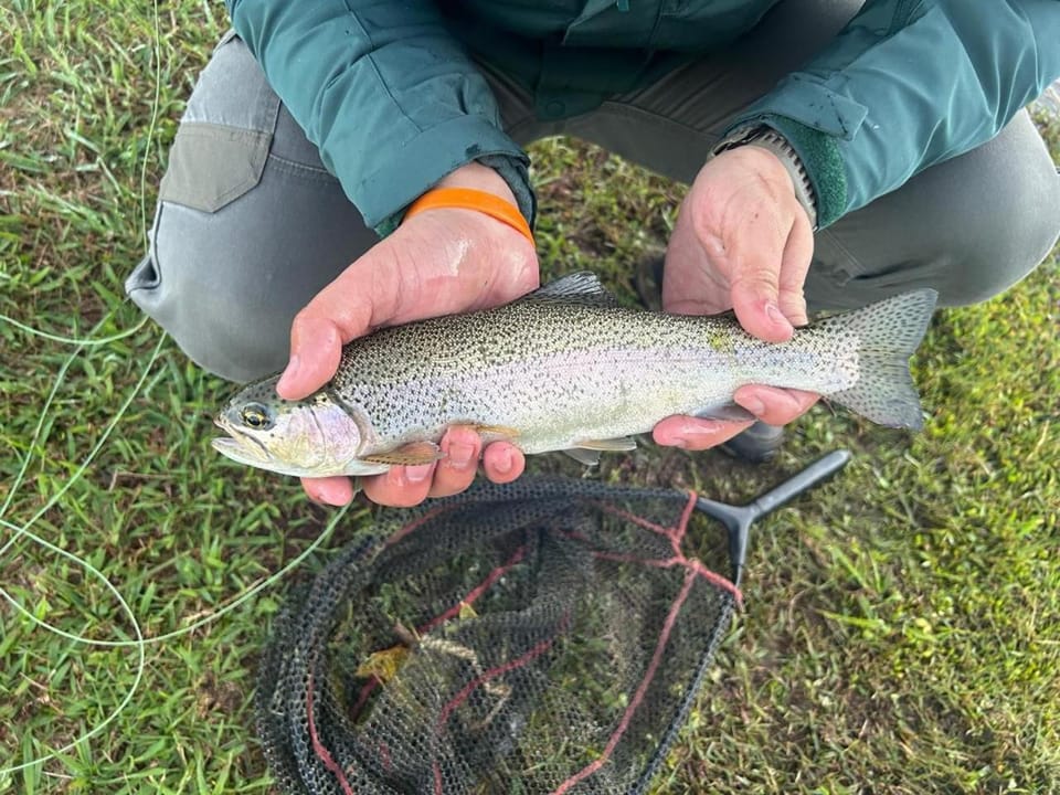 Fishing